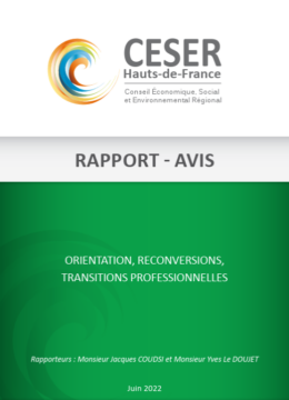 Rapport-avis : Orientation, recconversions, transitions professionnelles